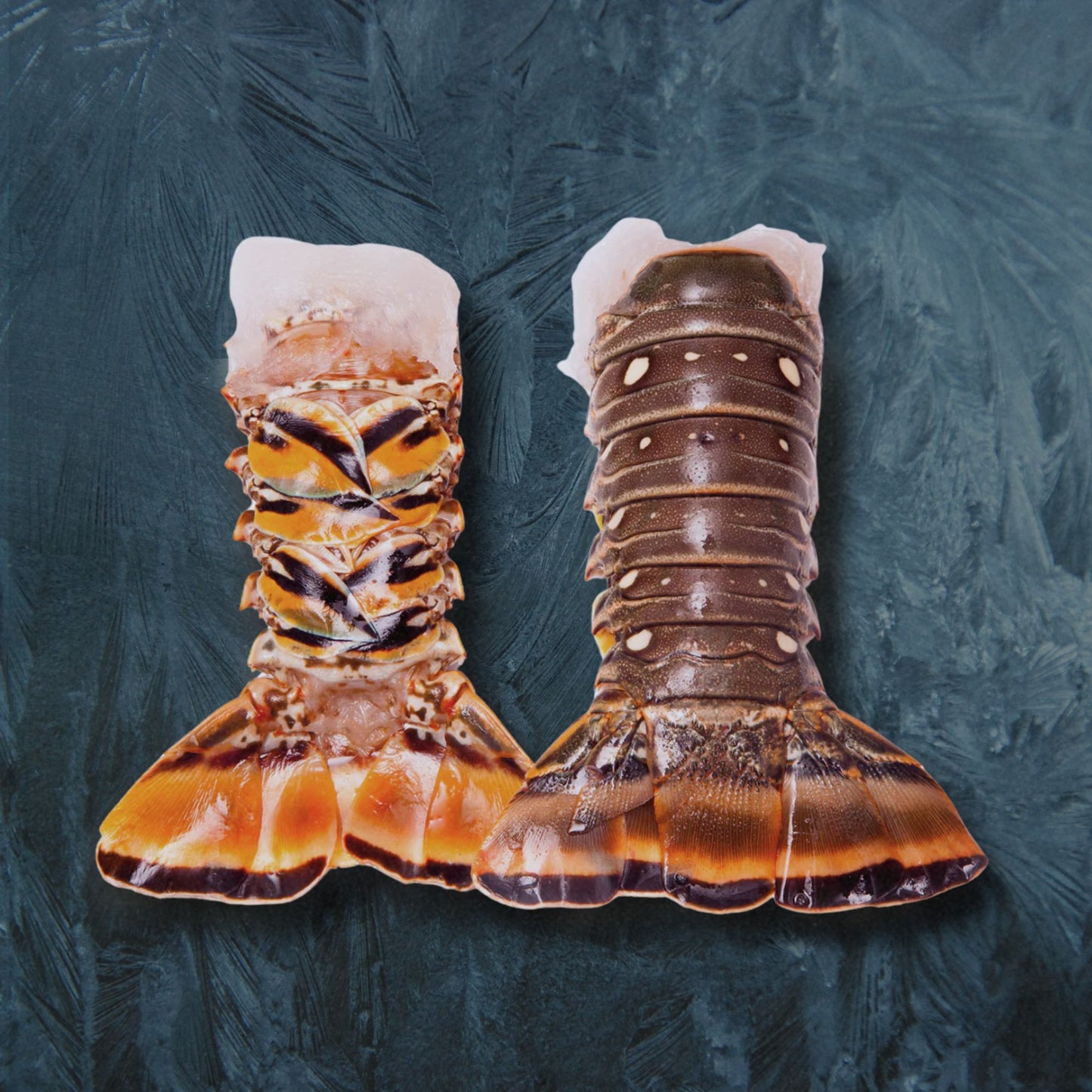 Wild Caught Atlantic Lobster Tails 3oz x 2pcs